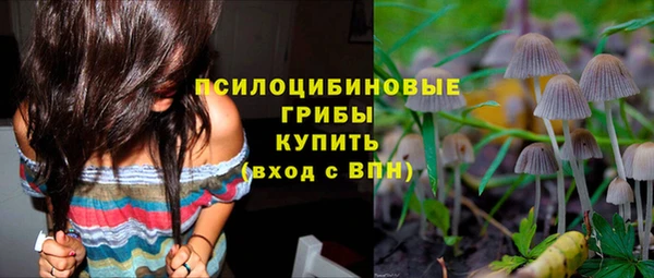 прущие крисы Алексеевка