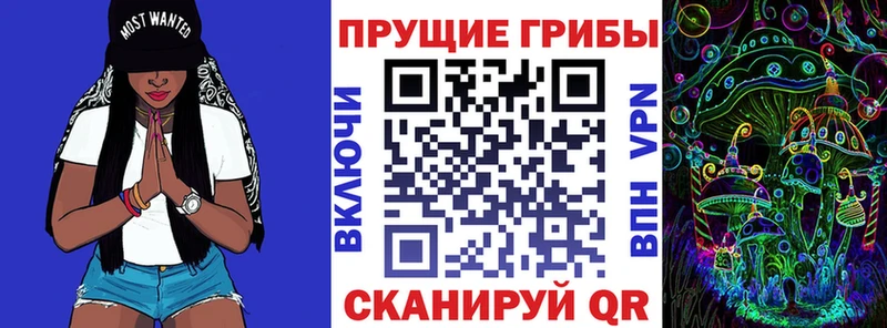 hydra сайт  купить наркотики сайты  Бийск  Псилоцибиновые грибы мицелий 