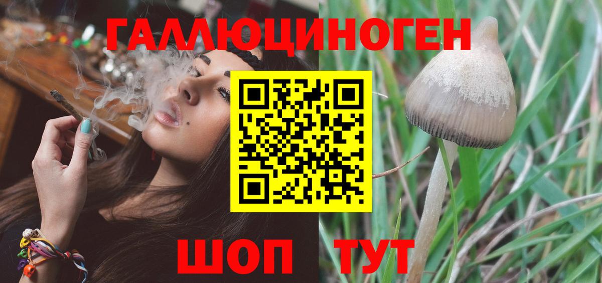 Галлюциногенные грибы ЛСД  Псилоцибиновые грибы GOLDEN TEACHER  купить наркоту  Бийск  Вход с VPN 